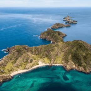 Flash Sale - Buceo en Costa Rica junto a David Berniger - Salida grupal acompañada