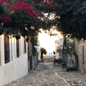 Colonia todo el año - Turismo Receptivo ( Paquete Neto)