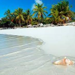 Punta Cana  - Baja Temporada - Copa Vacations 