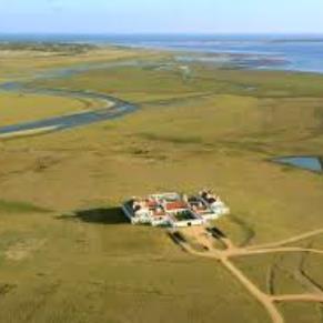 Experiencia Gastronómica y Vinícola en Estancia Vik - Turismo Receptivo ( Paquete Neto)