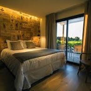 Noche en los Viñedos Pizzorno Lodge & Wine -  Turismo Nacional