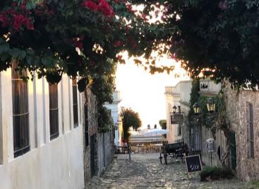 Colonia todo el año - Turismo Receptivo ( Paquete Neto)