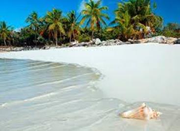 Punta Cana  - Baja Temporada - Copa Vacations 