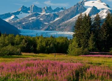 Crucero Virgin - Magia de Alaska