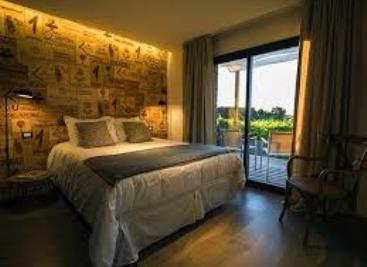 Noche en los Viñedos Pizzorno Lodge & Wine -  Turismo Nacional