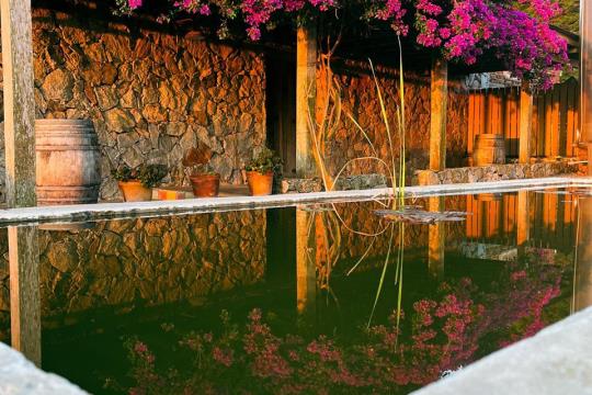 Encantos de Carmelo - Turismo Receptivo ( Paquete Neto)