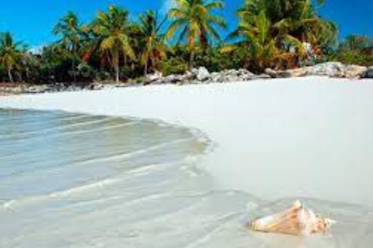 Punta Cana  - Baja Temporada - Copa Vacations 