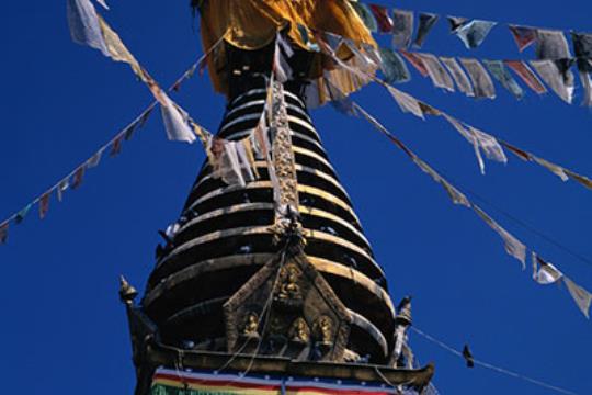 Nepal-  Templos & Safari