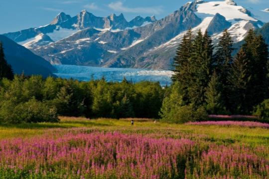 Crucero Virgin - Magia de Alaska