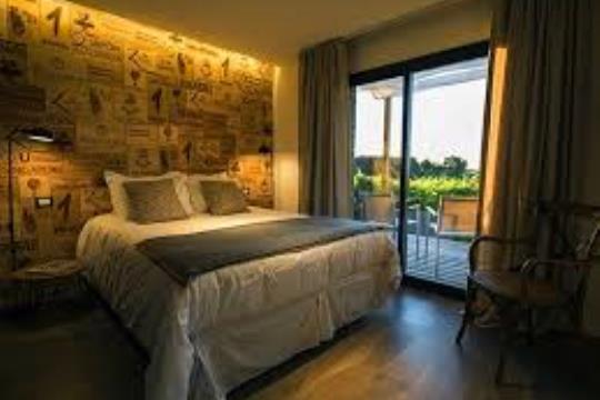 Noche en los Viñedos Pizzorno Lodge & Wine -  Turismo Nacional