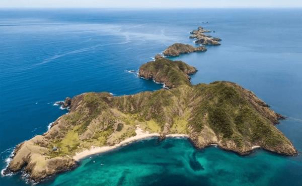 Flash Sale - Buceo en Costa Rica junto a David Berniger - Salida grupal acompañada