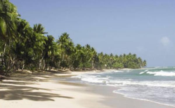 Punta Cana - Vacaciones de Primavera - Cupos Confirmados - Latam