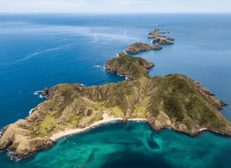 Flash Sale - Buceo en Costa Rica junto a David Berniger - Salida grupal acompañada